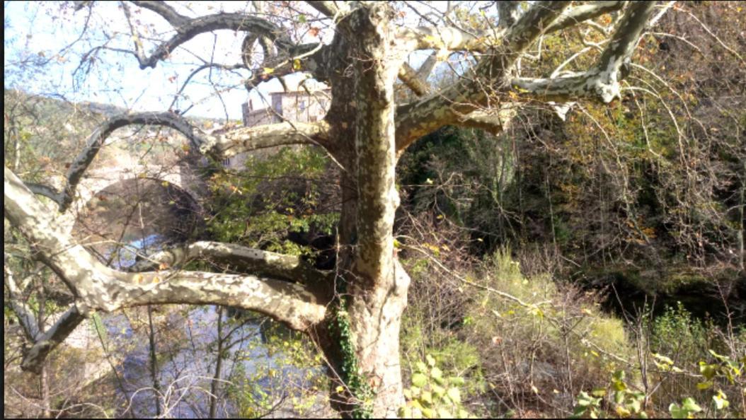 Le Moulin Aux Chandelles 2, Vacances & W-E, Vues Riviere, Montagne & Ville, Tout Confort Deconnecte, Eclairage Bougies, Connexions A 200M Au Centre Le Vigan Gite Les Amoureux De L'Arre, Randonnee Chemin De Saint-Guilhem-Le-Desert, Lire Profil Avant R Exterior photo